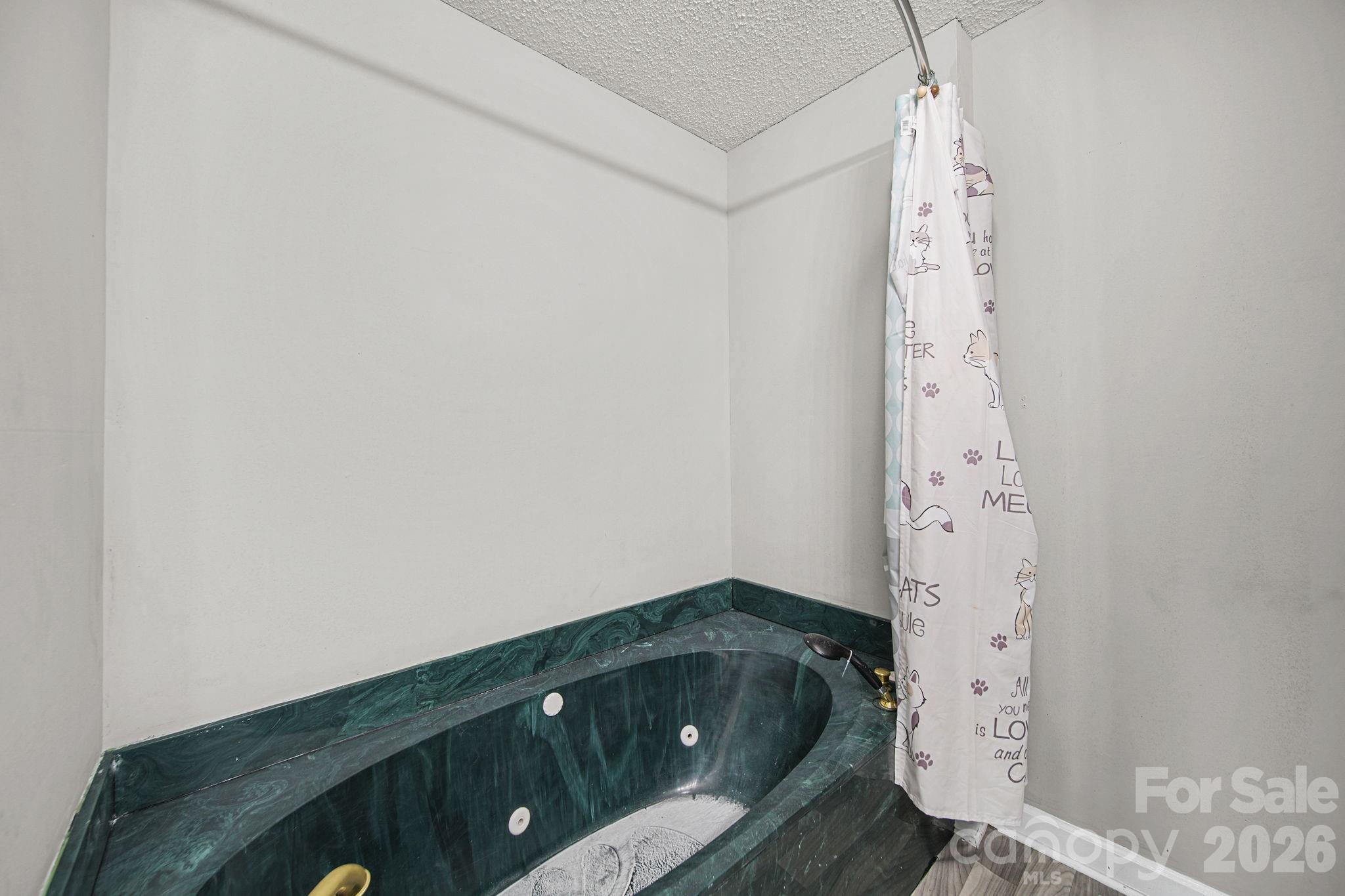 261 Lakeside Drive Property Photo 29
