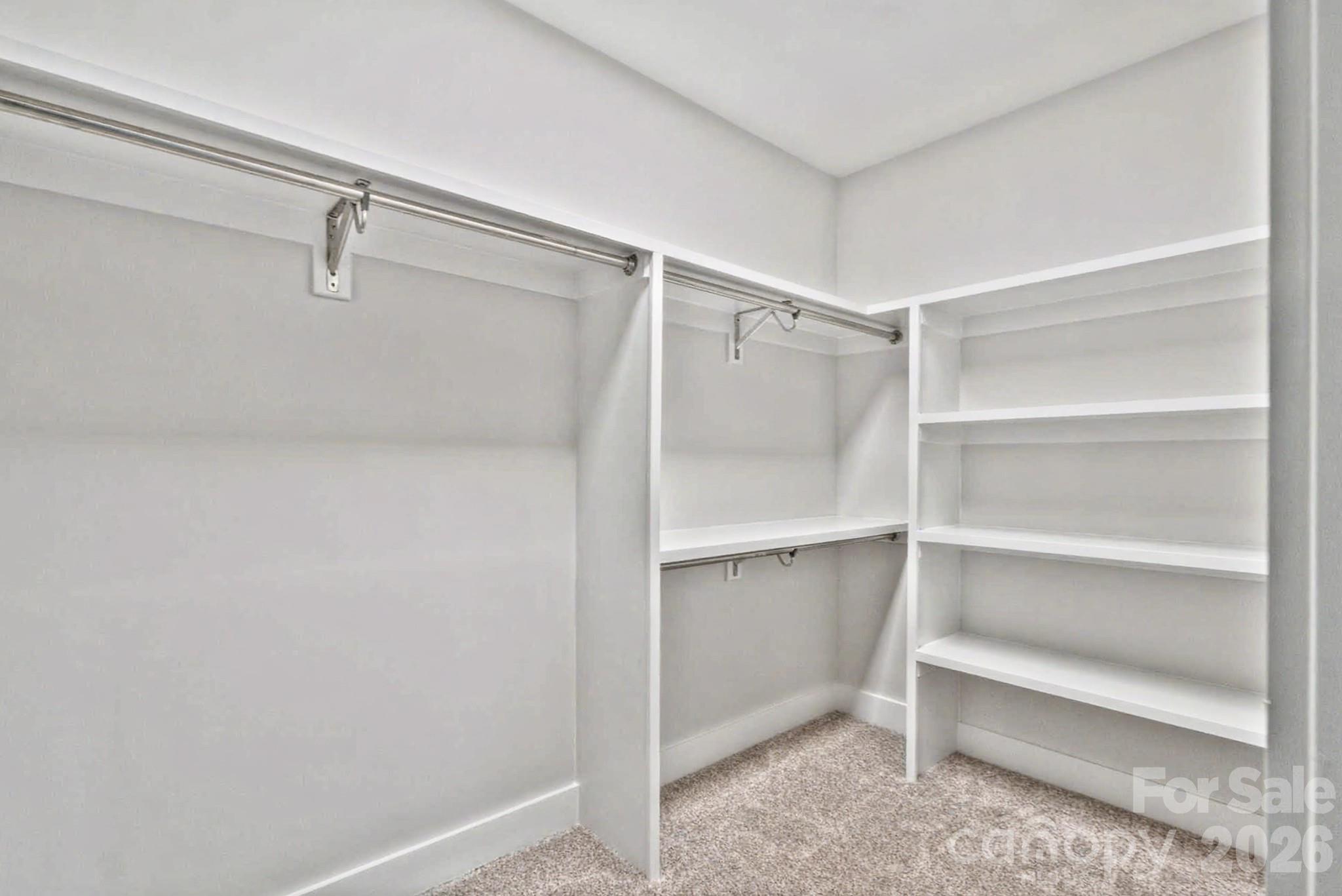 3159 Timber Run Lane Property Photo 29