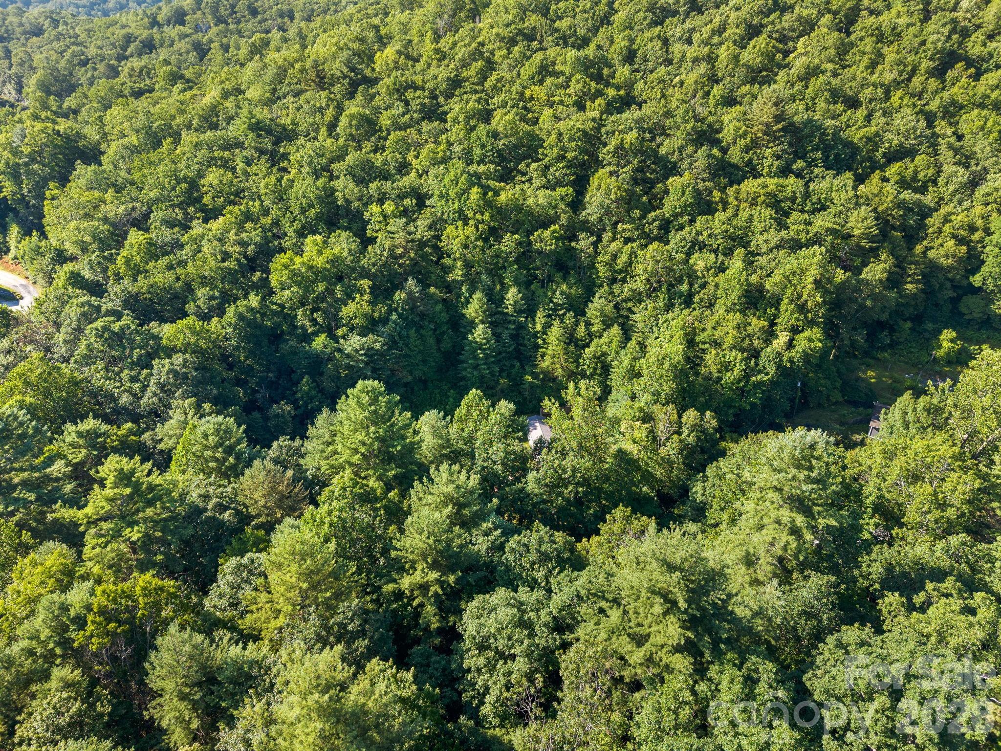 125 Ice Hollow Road Property Photo 37