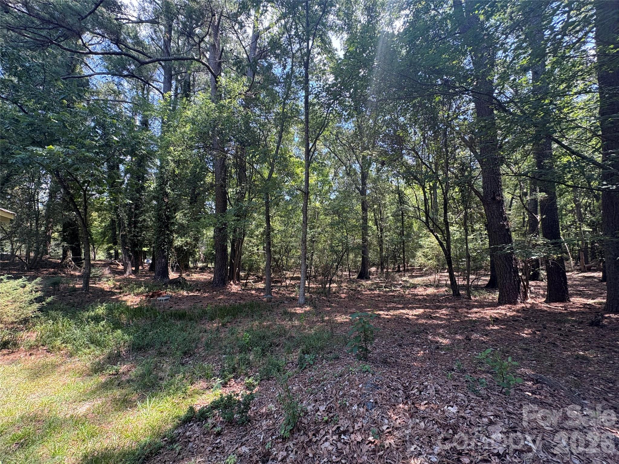 1801 Griffith Road Property Photo 4