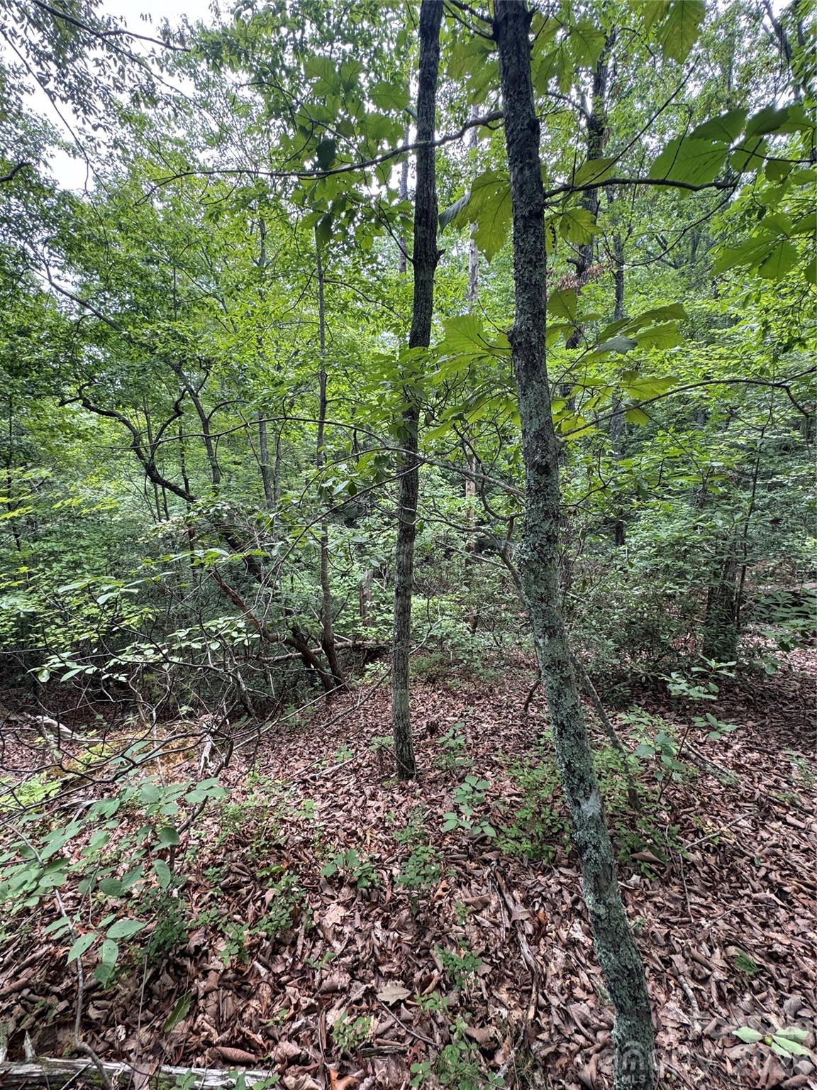 0 Raven Boulevard Property Photo 2