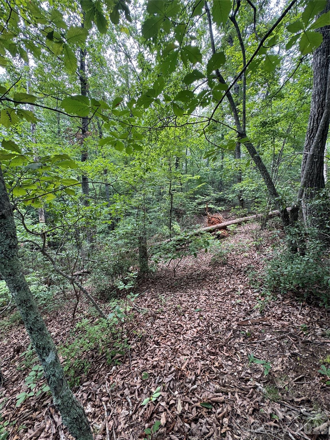 0 Raven Boulevard Property Photo 4