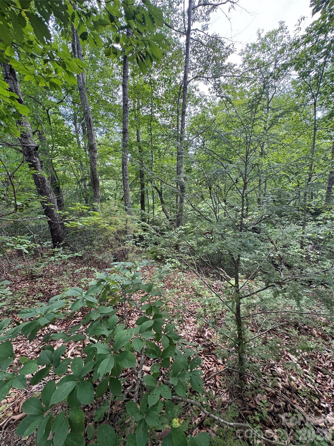 0 Raven Boulevard Property Photo 5