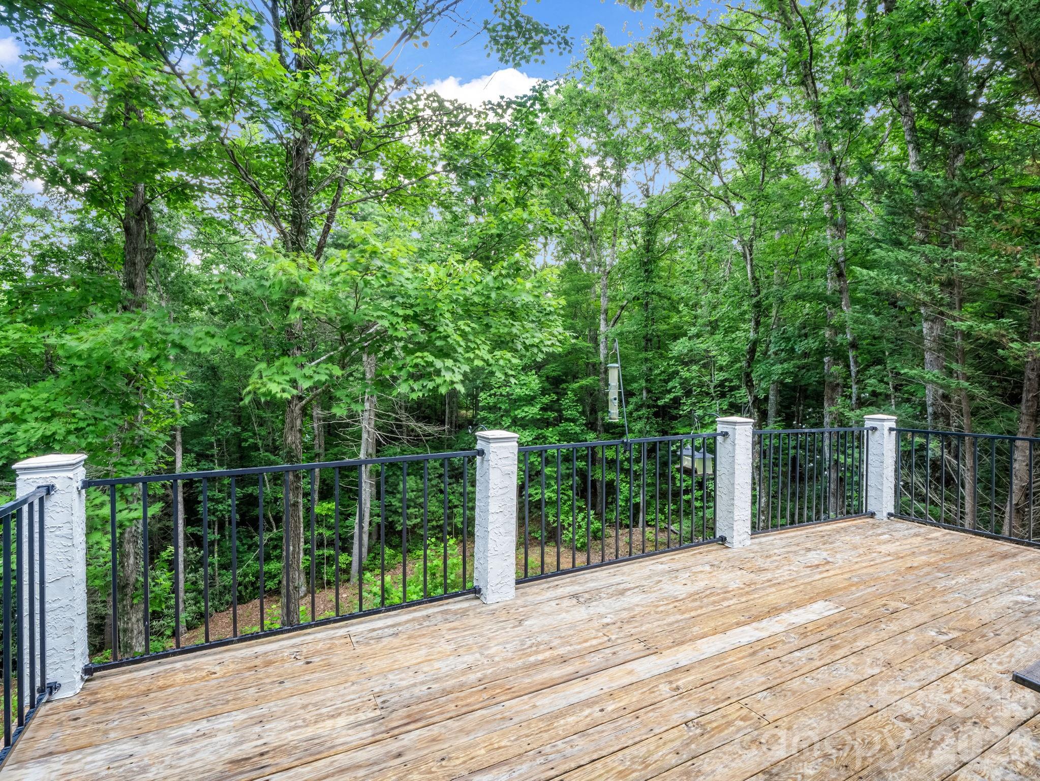 45 Brown Bear Ridge Trail Property Photo 27