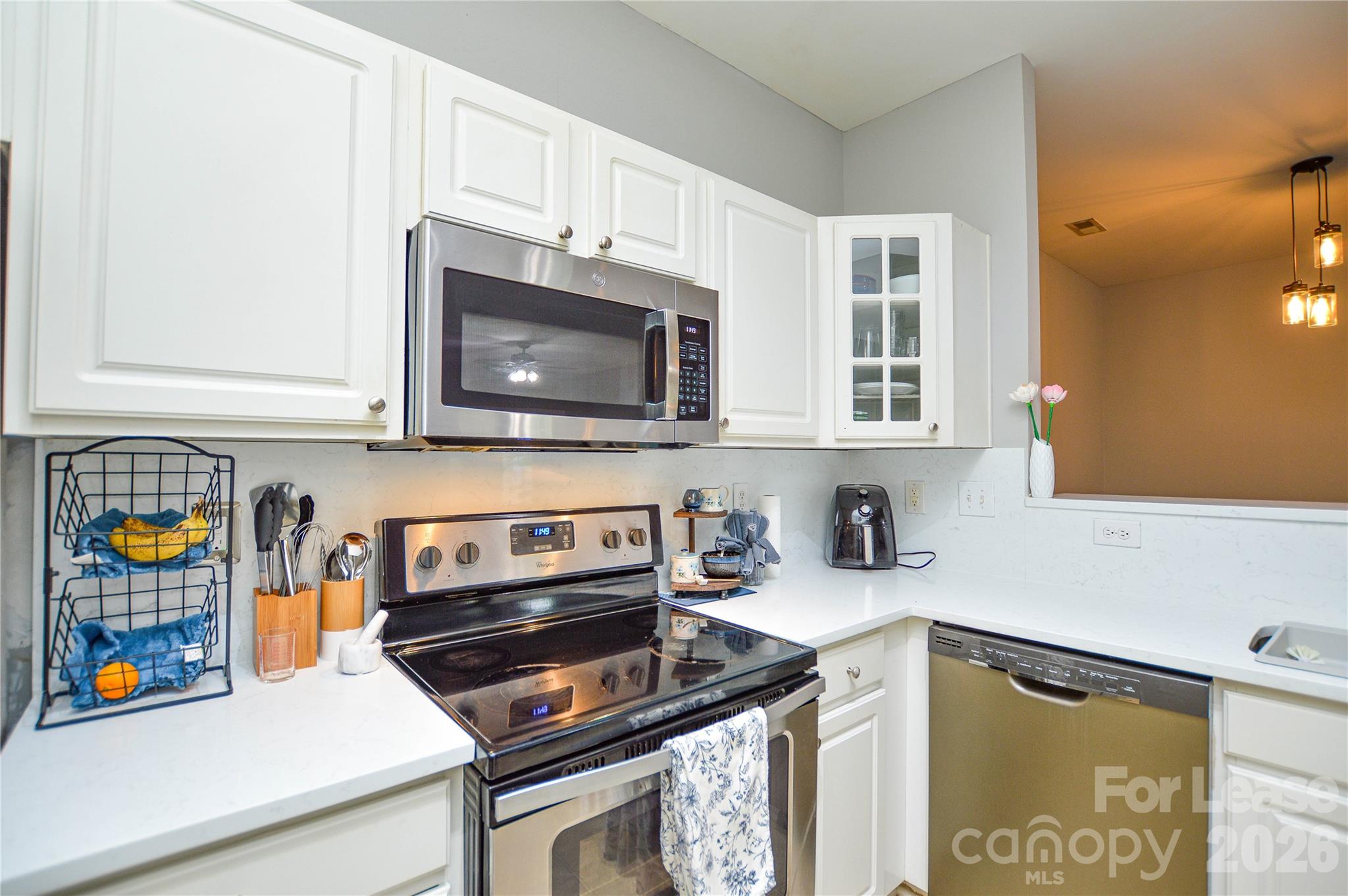 10663 Hill Point Court Property Photo 12
