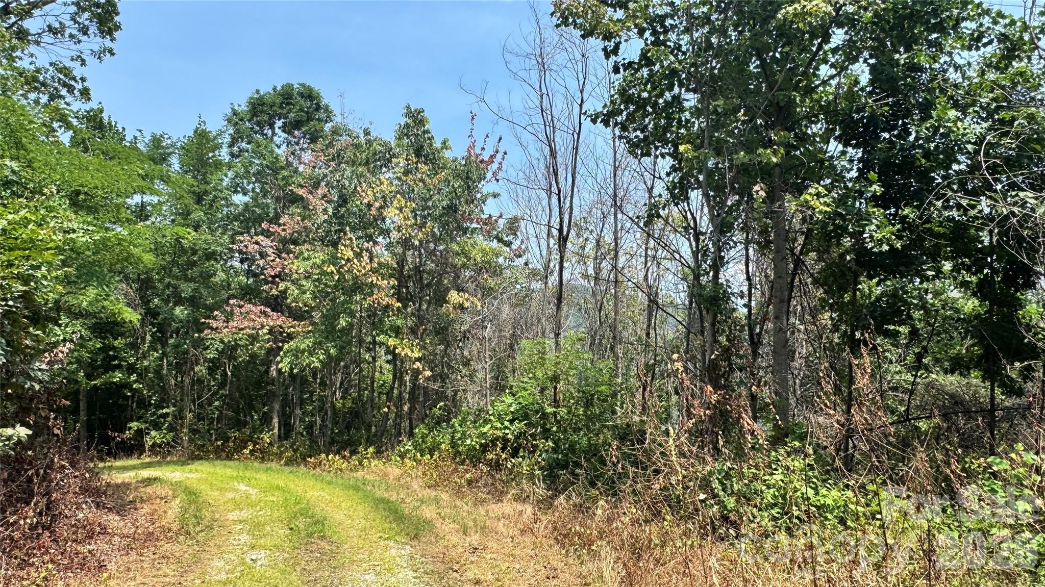 1802 Off Sr None Property Photo 6