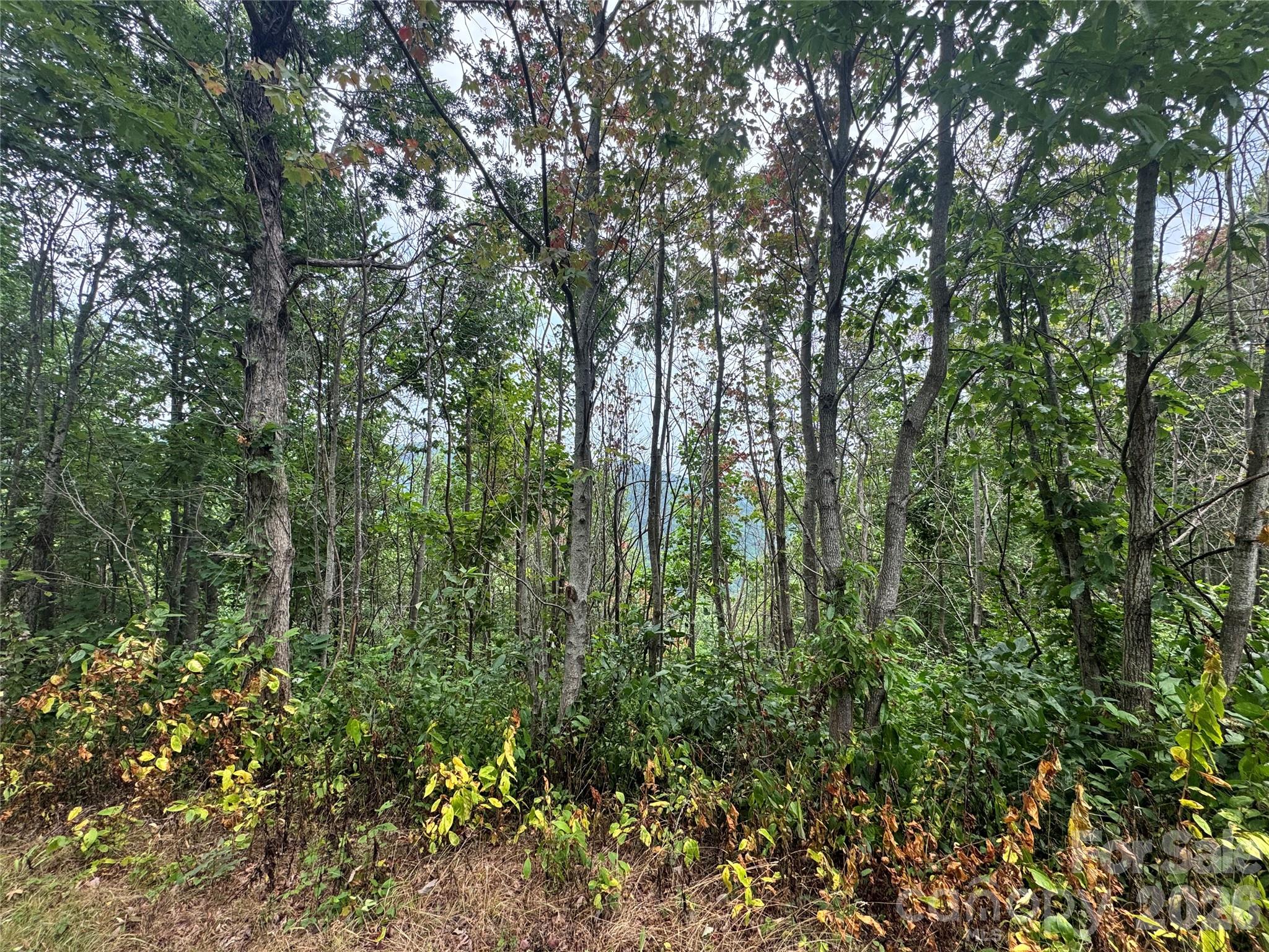 1802 Off Sr None Property Photo 9