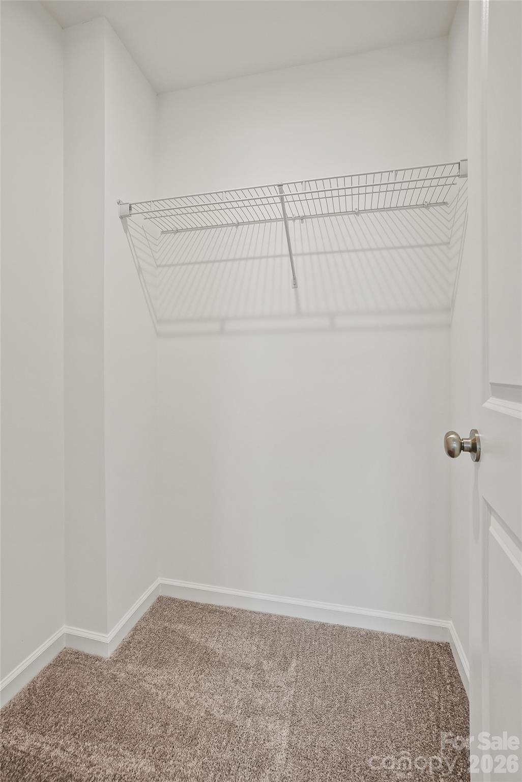 10015 Limpkin Lane Property Photo 31