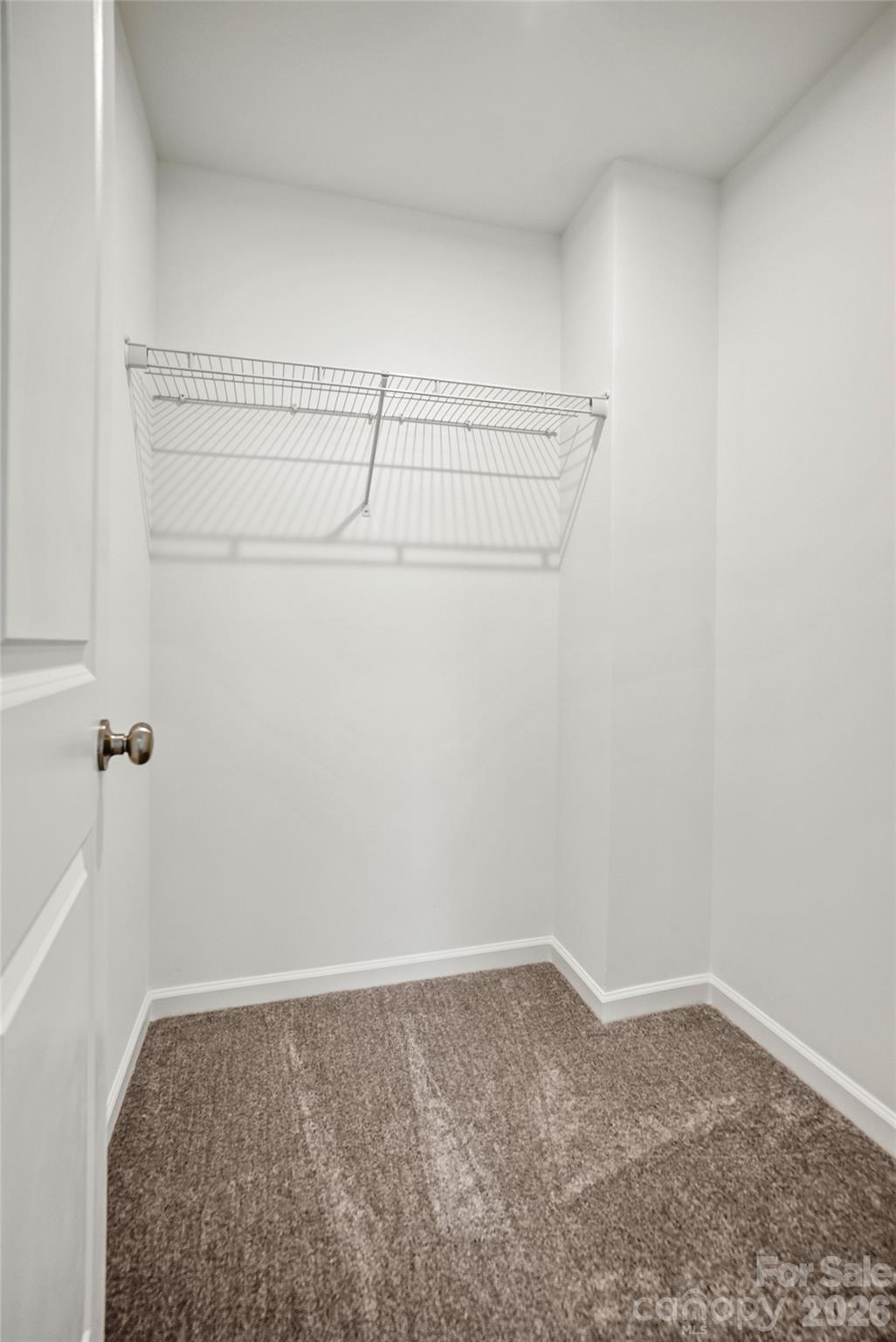 10015 Limpkin Lane Property Photo 34