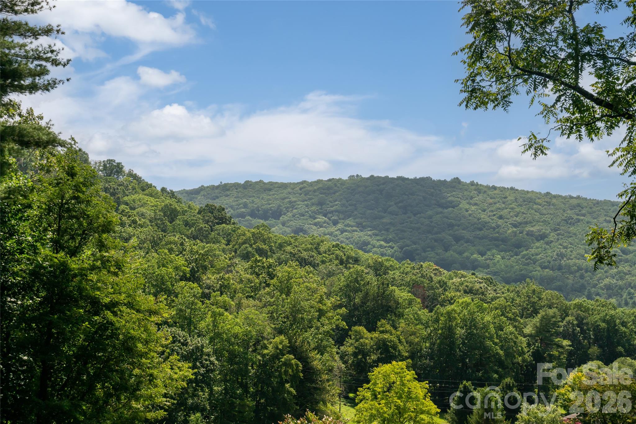 360 Pinners Cove Road Property Photo 16