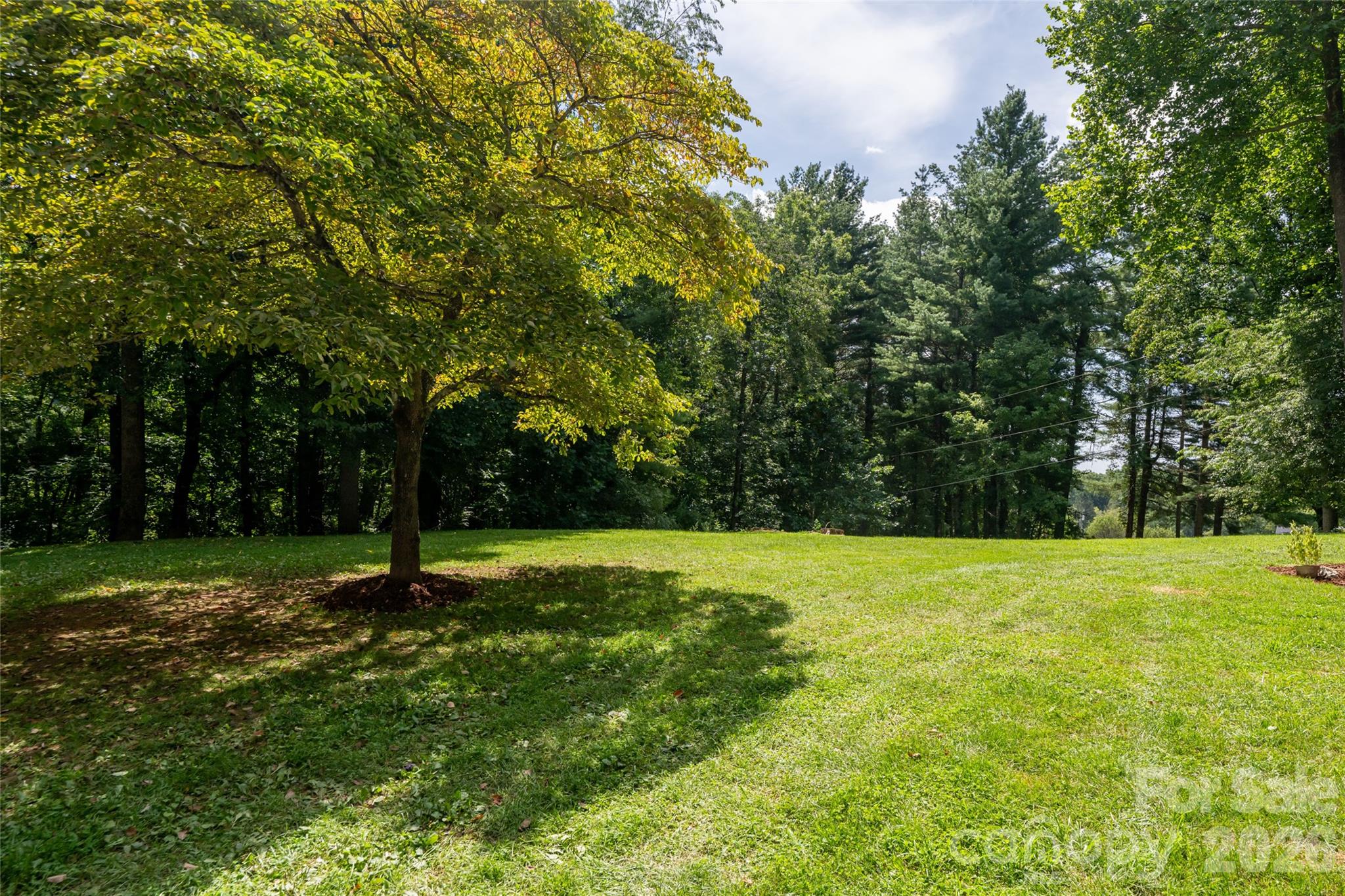 360 Pinners Cove Road Property Photo 26