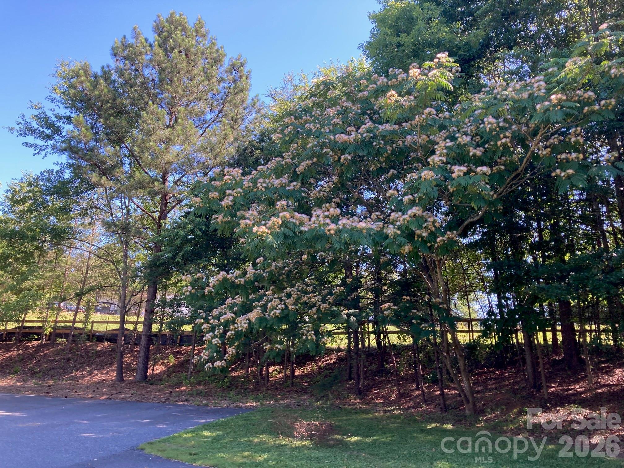 1095 E Prince Road Property Photo 27