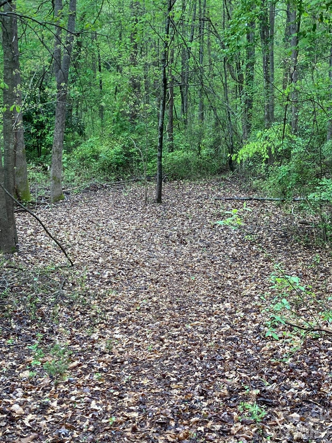 1095 E Prince Road Property Photo 30