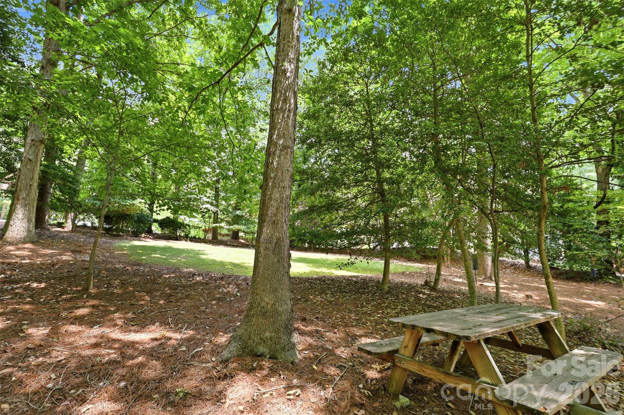 151 Maple View Drive Property Photo 37