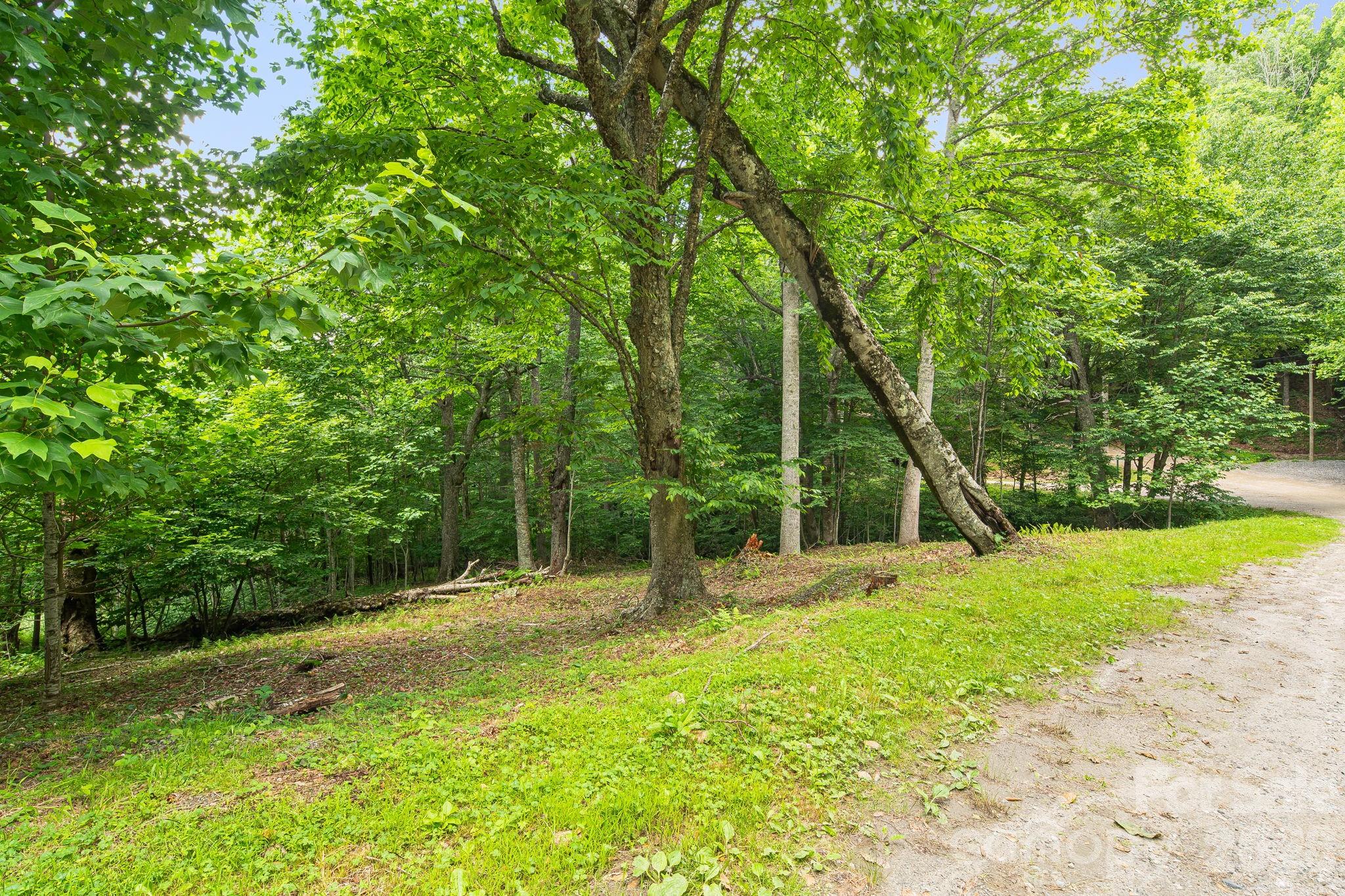 646 El Miner Drive Property Photo 14