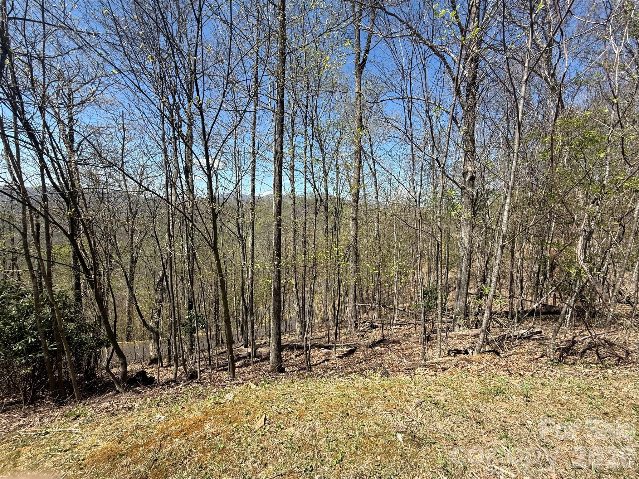 24 Elk Mountain Loop Property Photo 1