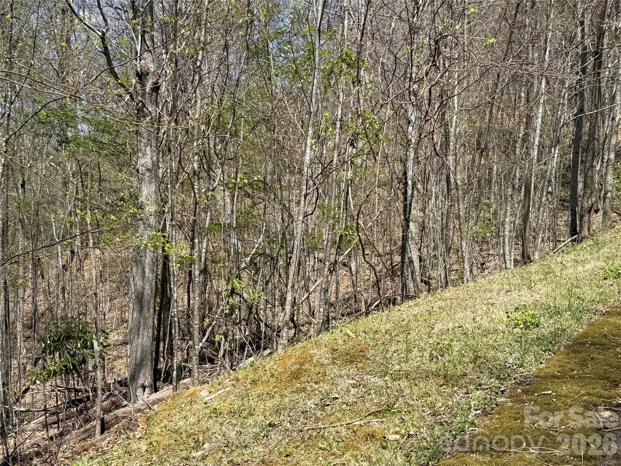 24 Elk Mountain Loop Property Photo 2