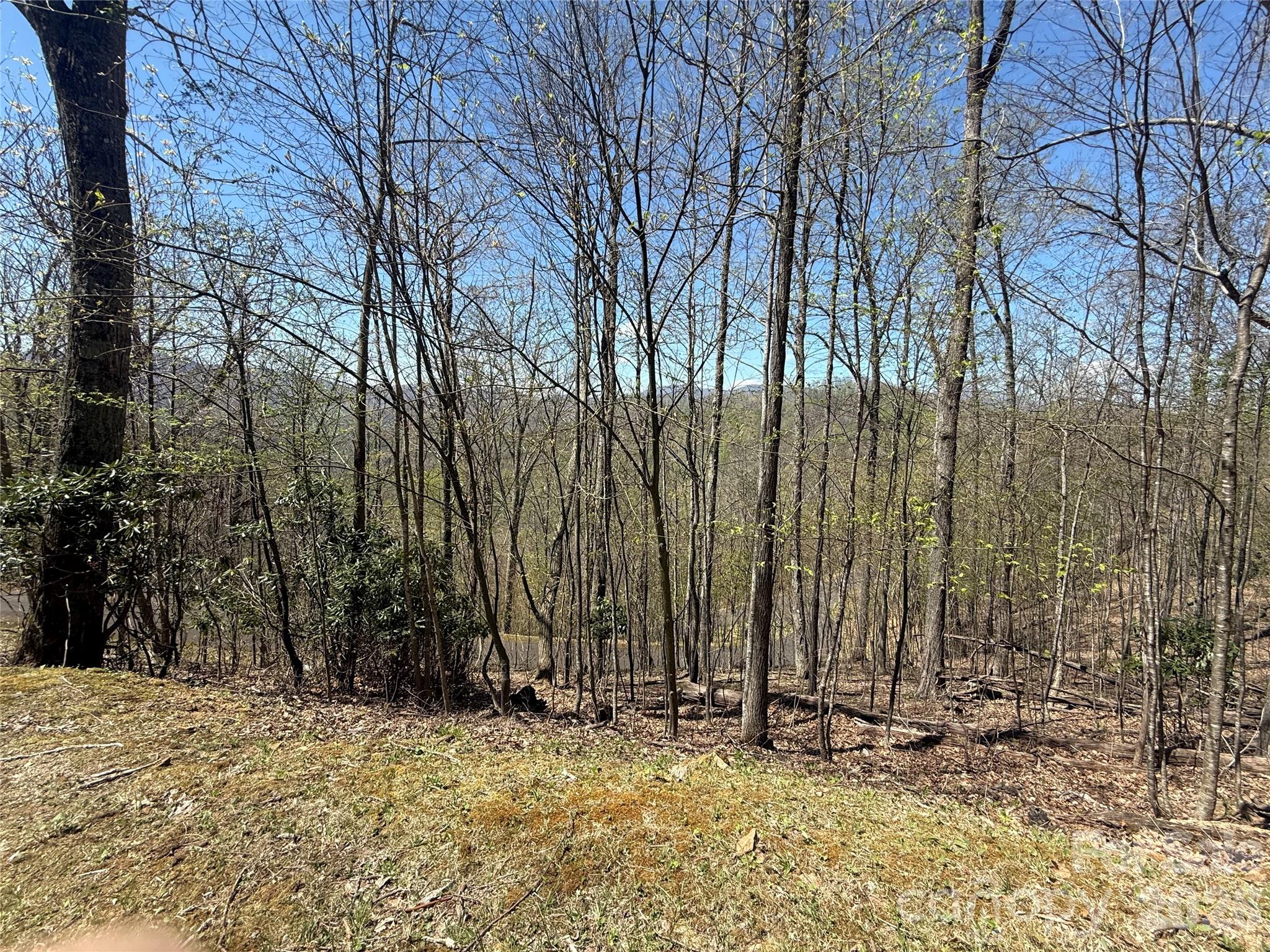 24 Elk Mountain Loop Property Photo 3