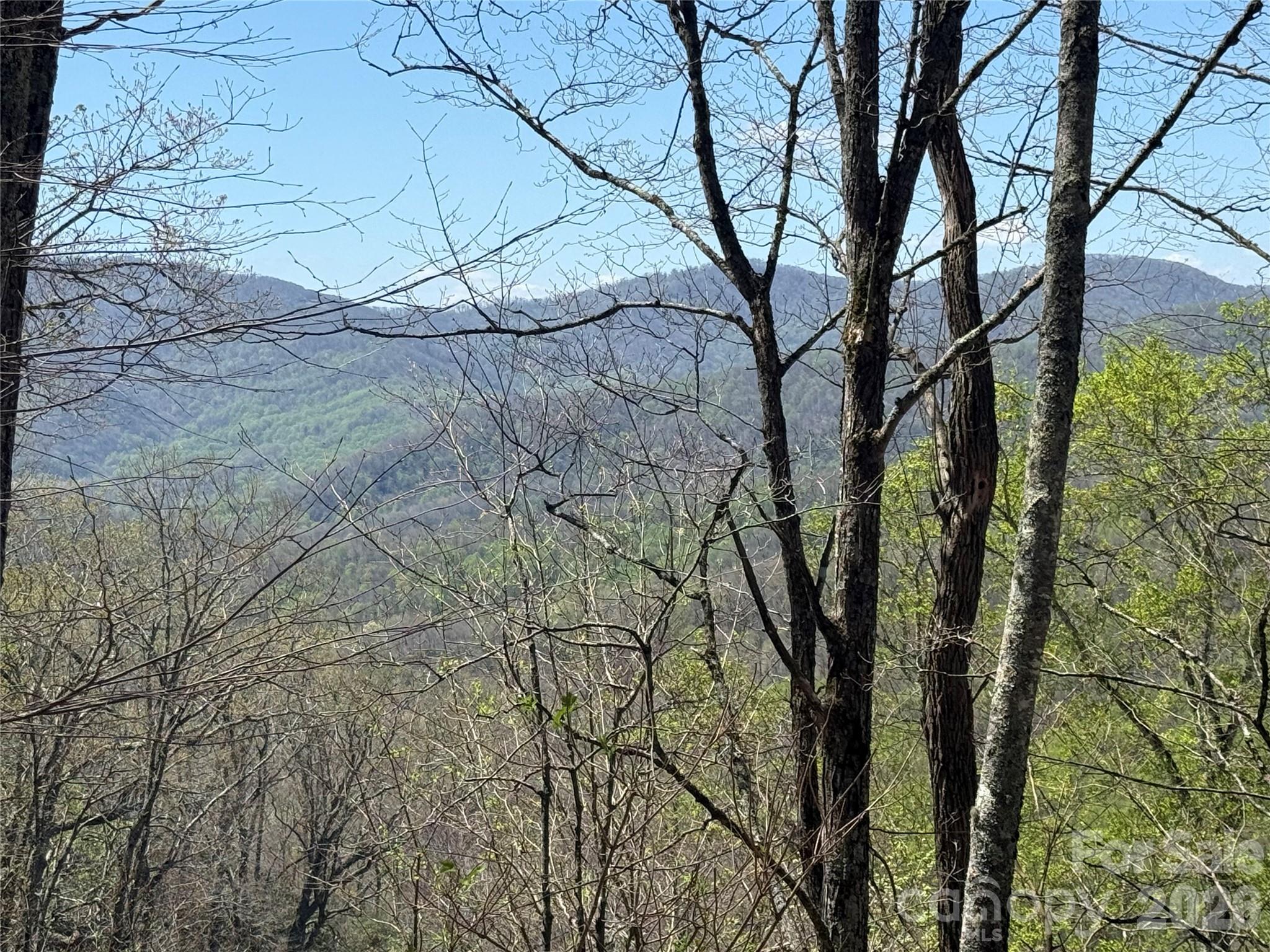 24 Elk Mountain Loop Property Photo 4