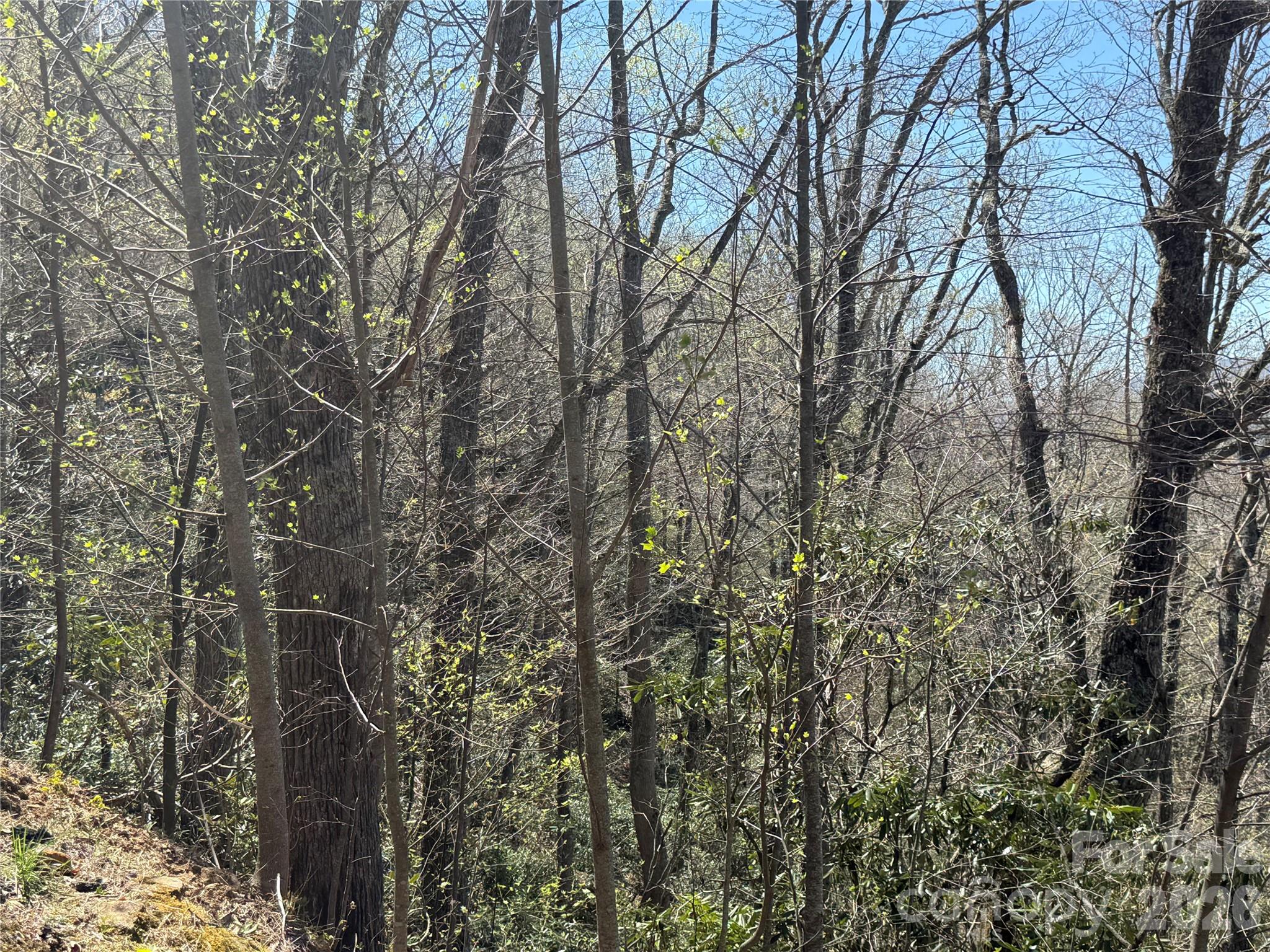 24 Elk Mountain Loop Property Photo 7