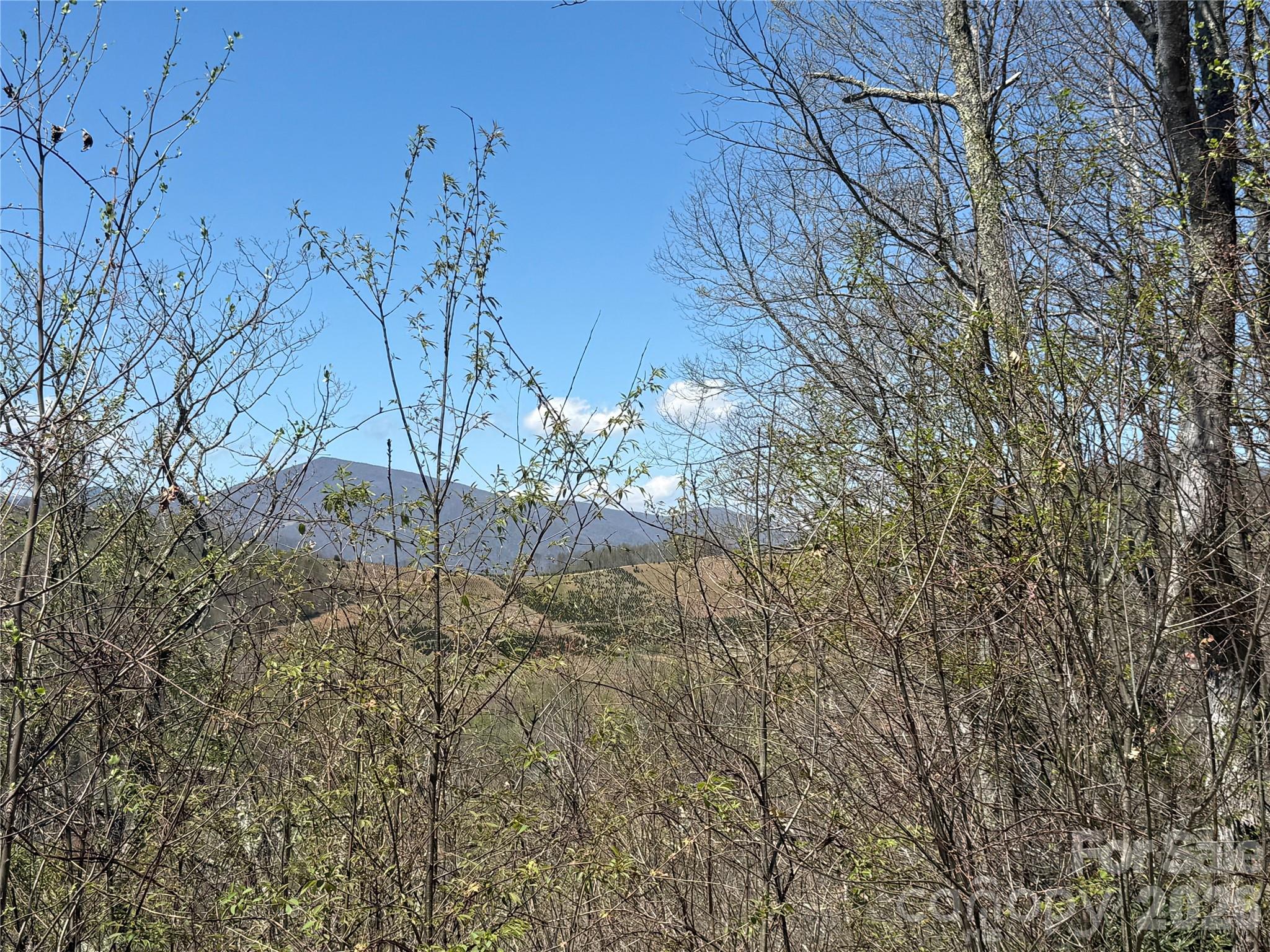 24 Elk Mountain Loop Property Photo 8