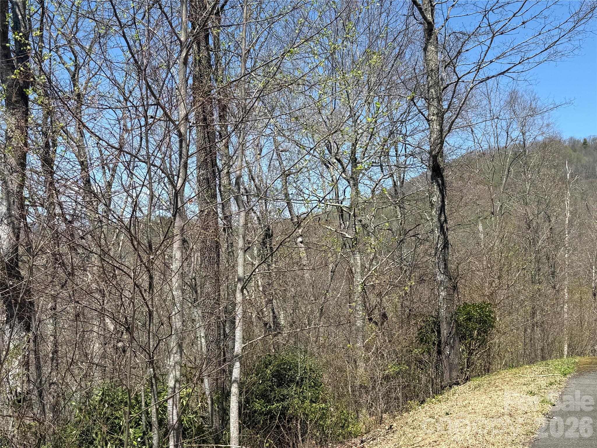 24 Elk Mountain Loop Property Photo 9