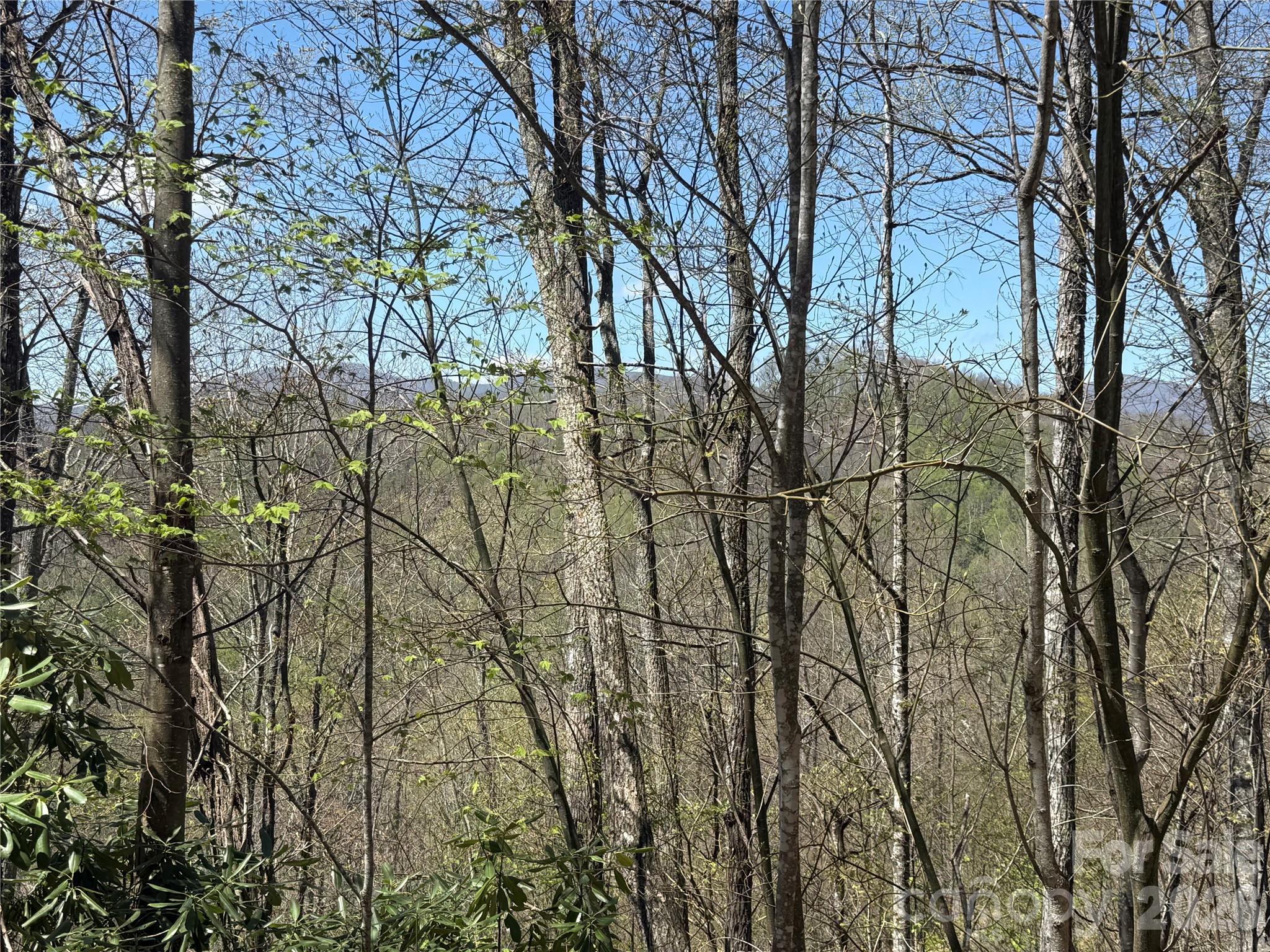 24 Elk Mountain Loop Property Photo 10