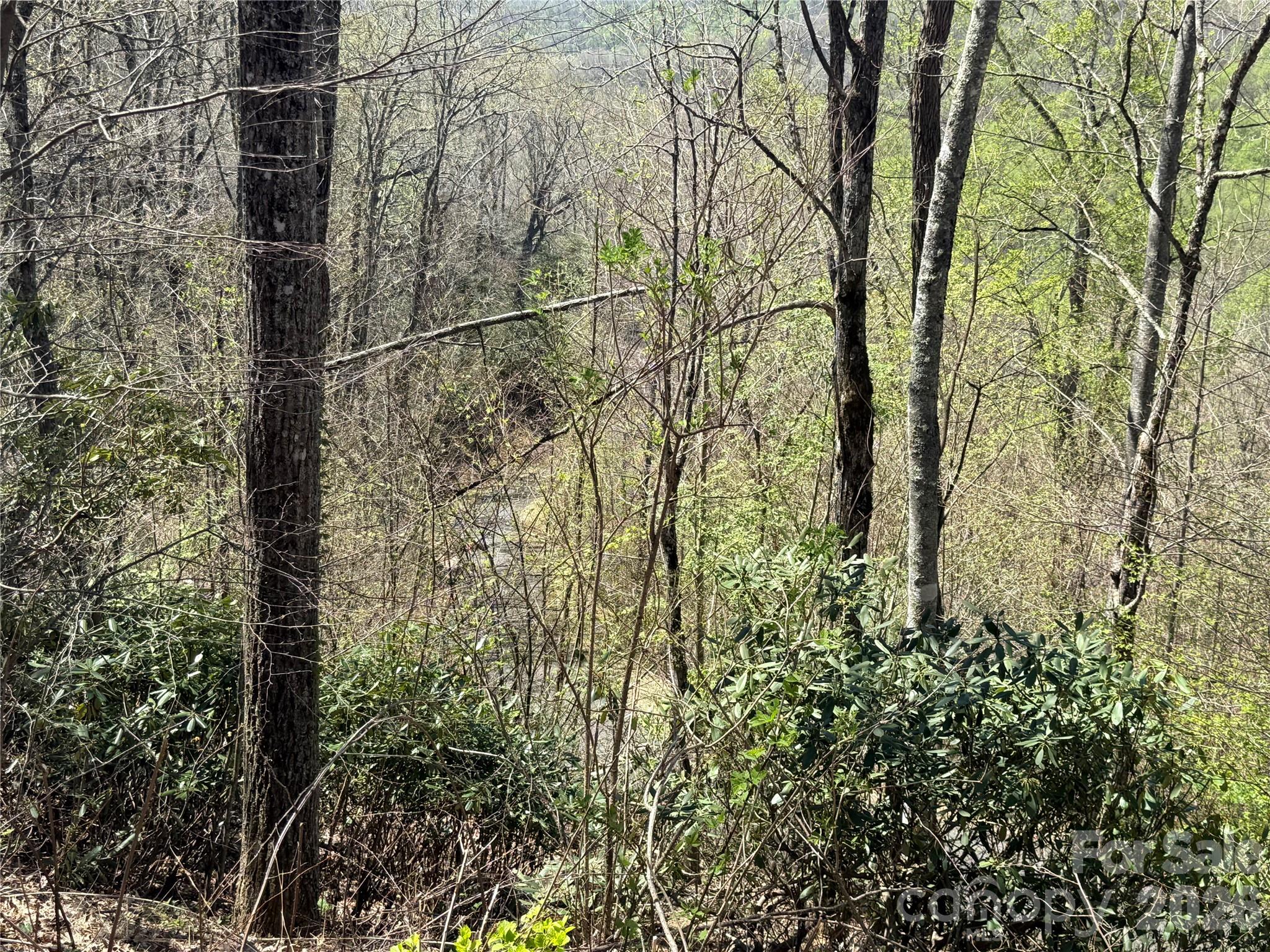 24 Elk Mountain Loop Property Photo 11