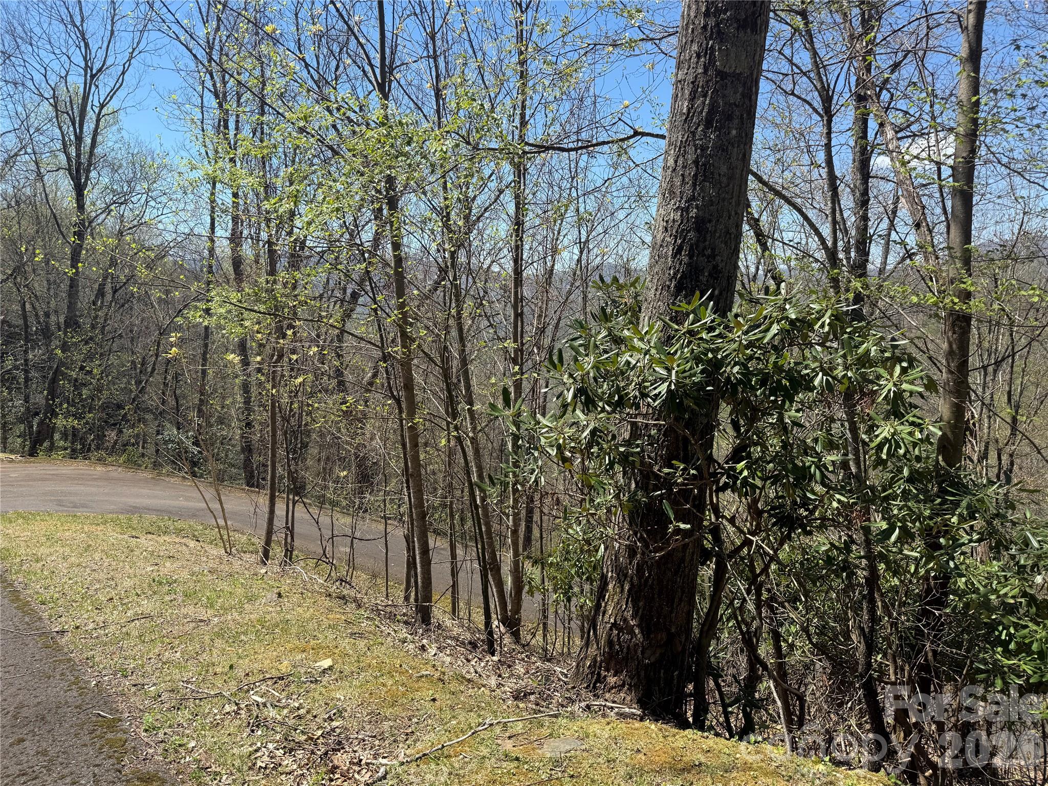 24 Elk Mountain Loop Property Photo 17