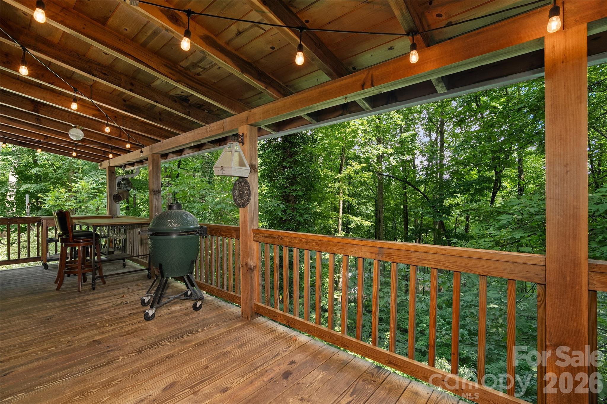 976 Wildcat Run Property Photo 3