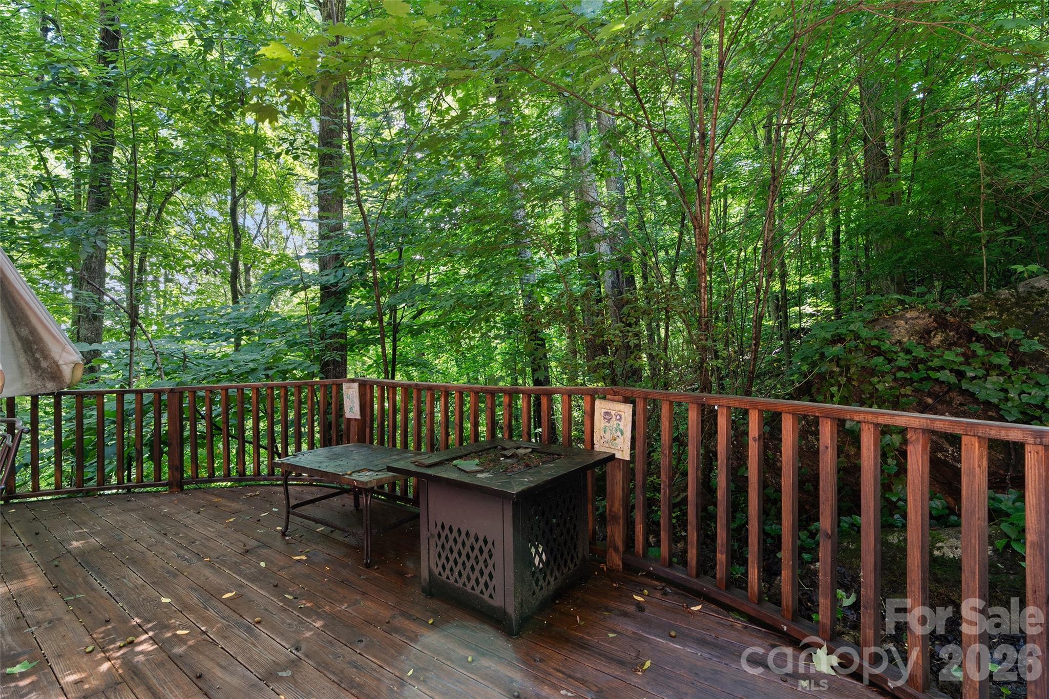 976 Wildcat Run Property Photo 25