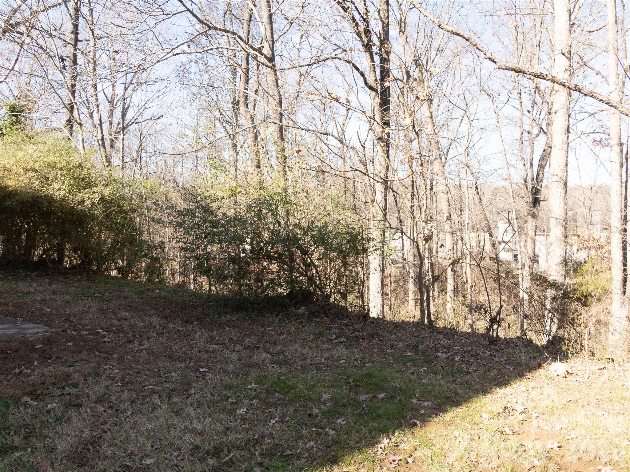 9718 Old Gate Drive Property Photo 13