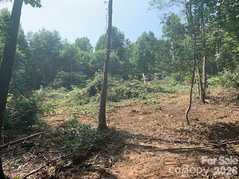 000 Old Vashti Road Property Photo 2