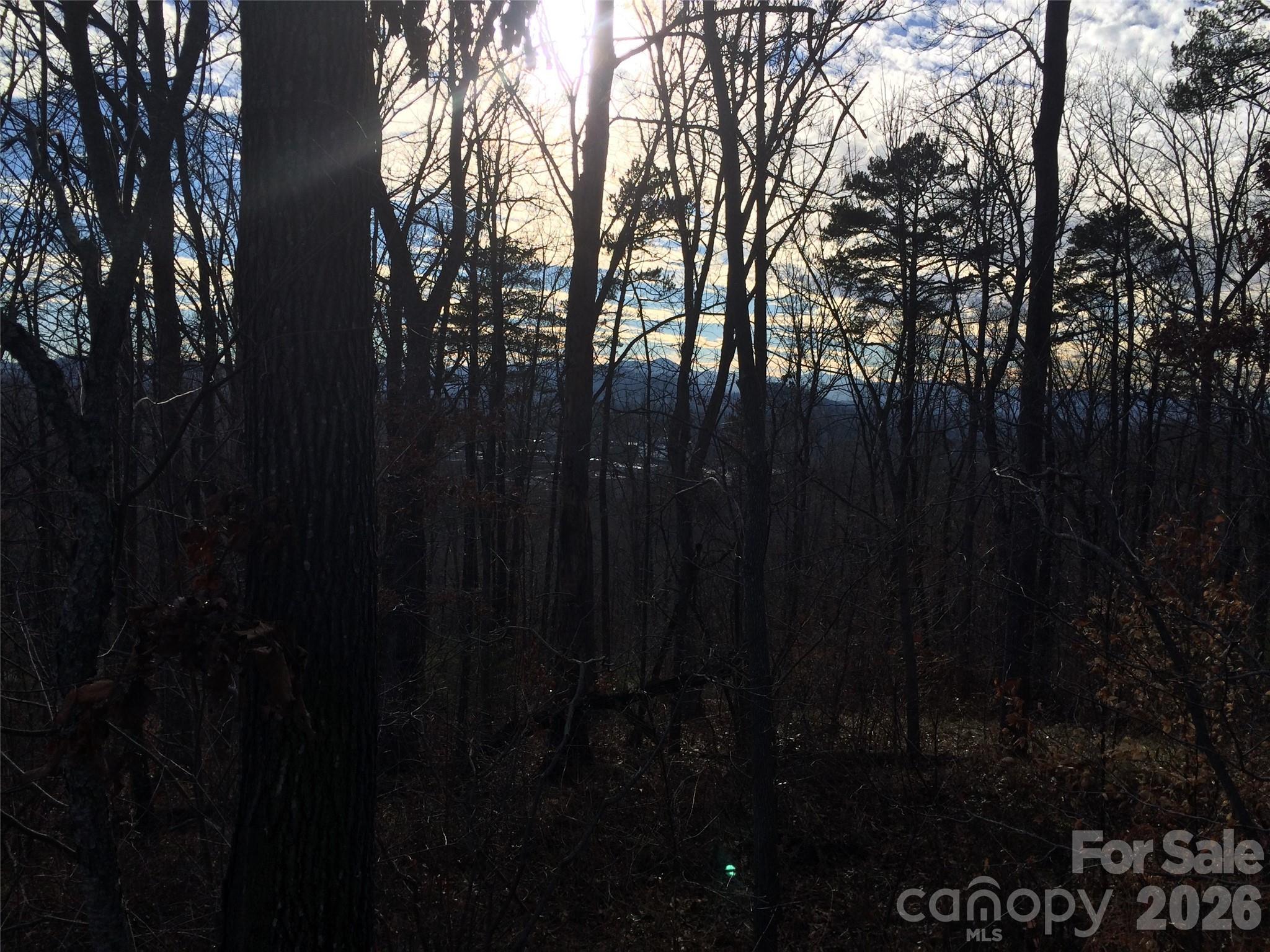 28 Samuel Ashe Drive Property Photo 6