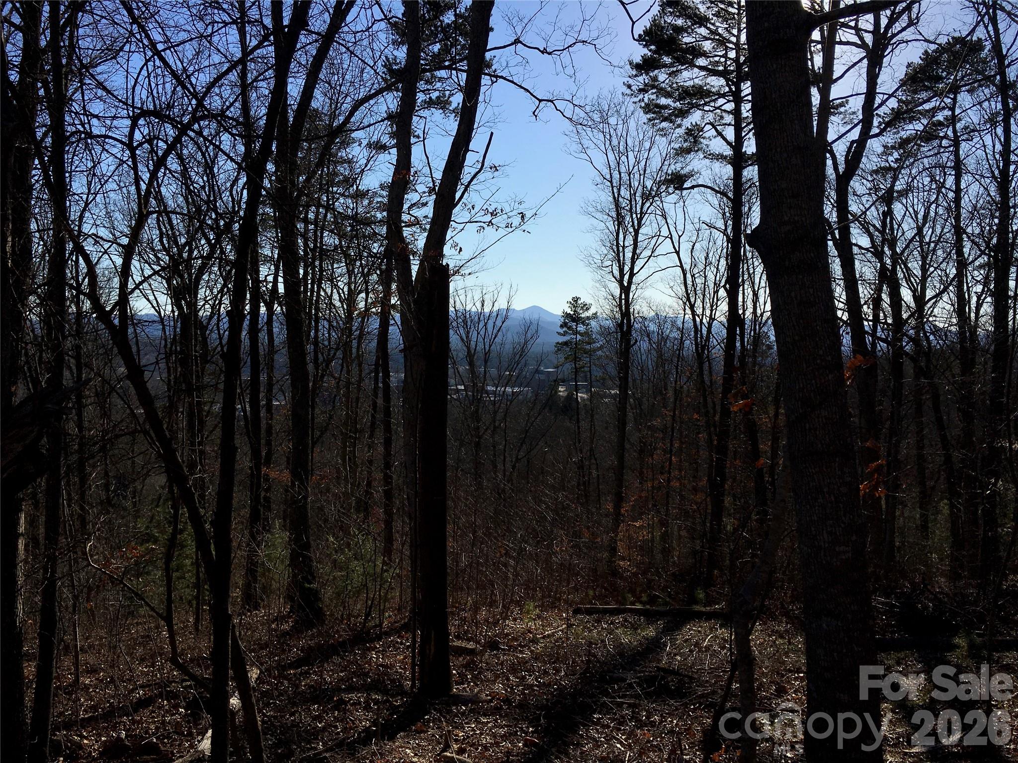 28 Samuel Ashe Drive Property Photo 15