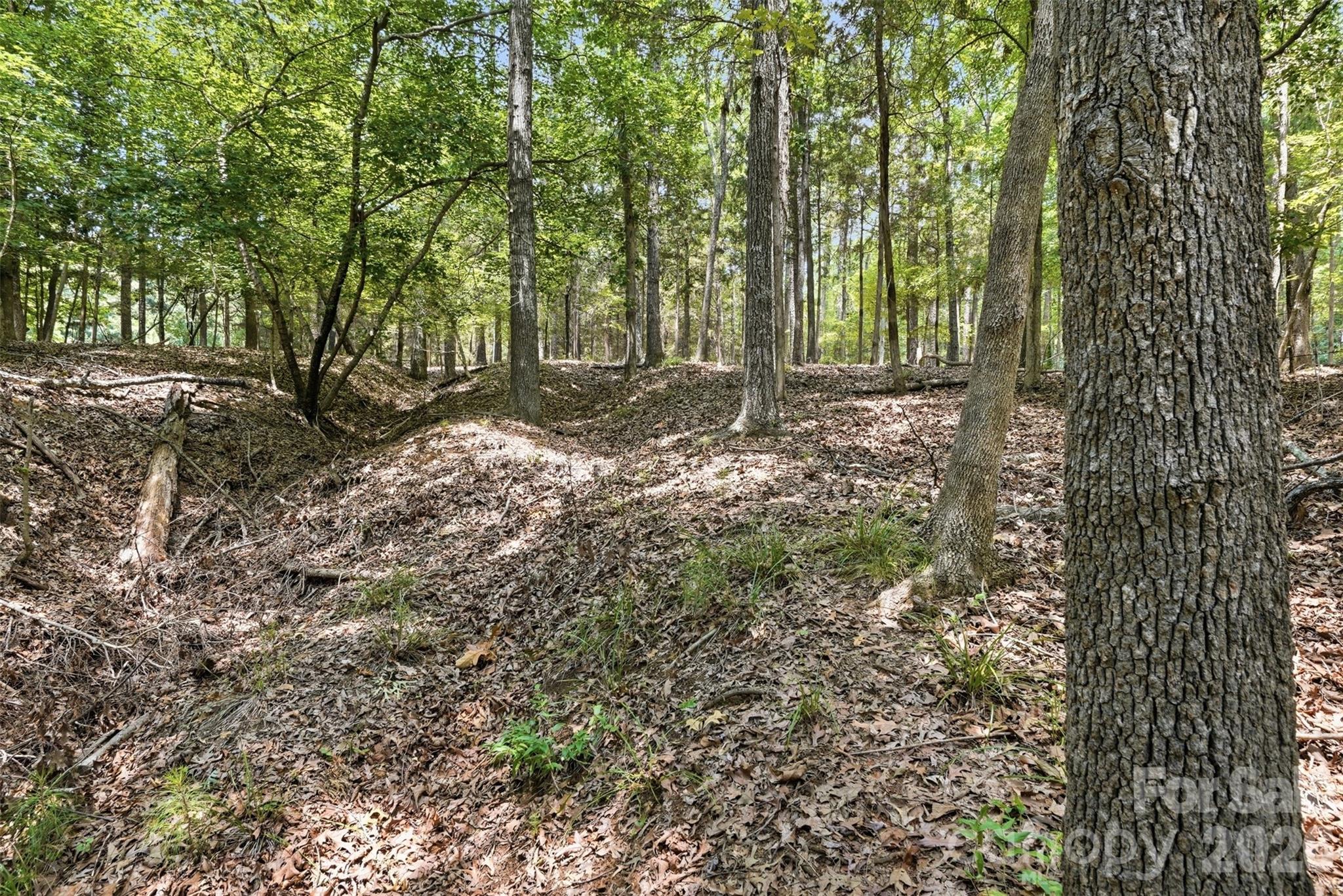 Tbd Marlette Drive Property Photo 17