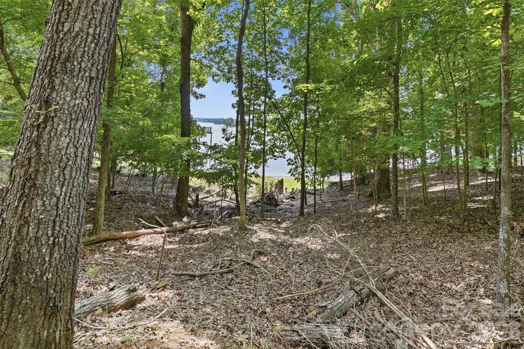 Tbd Marlette Drive Property Photo 18