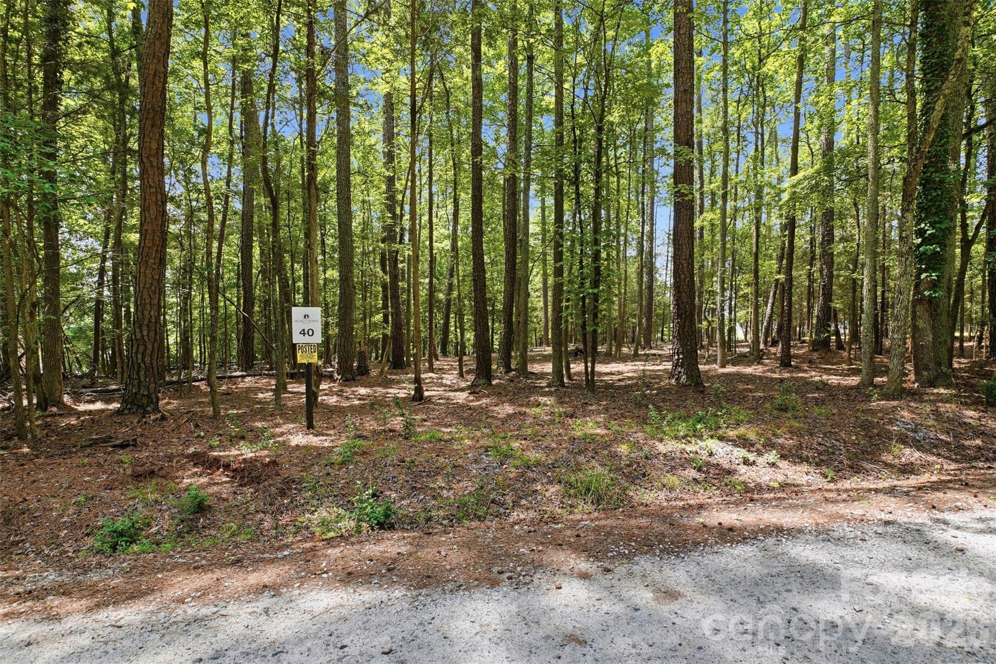 Tbd Marlette Drive Property Photo 19