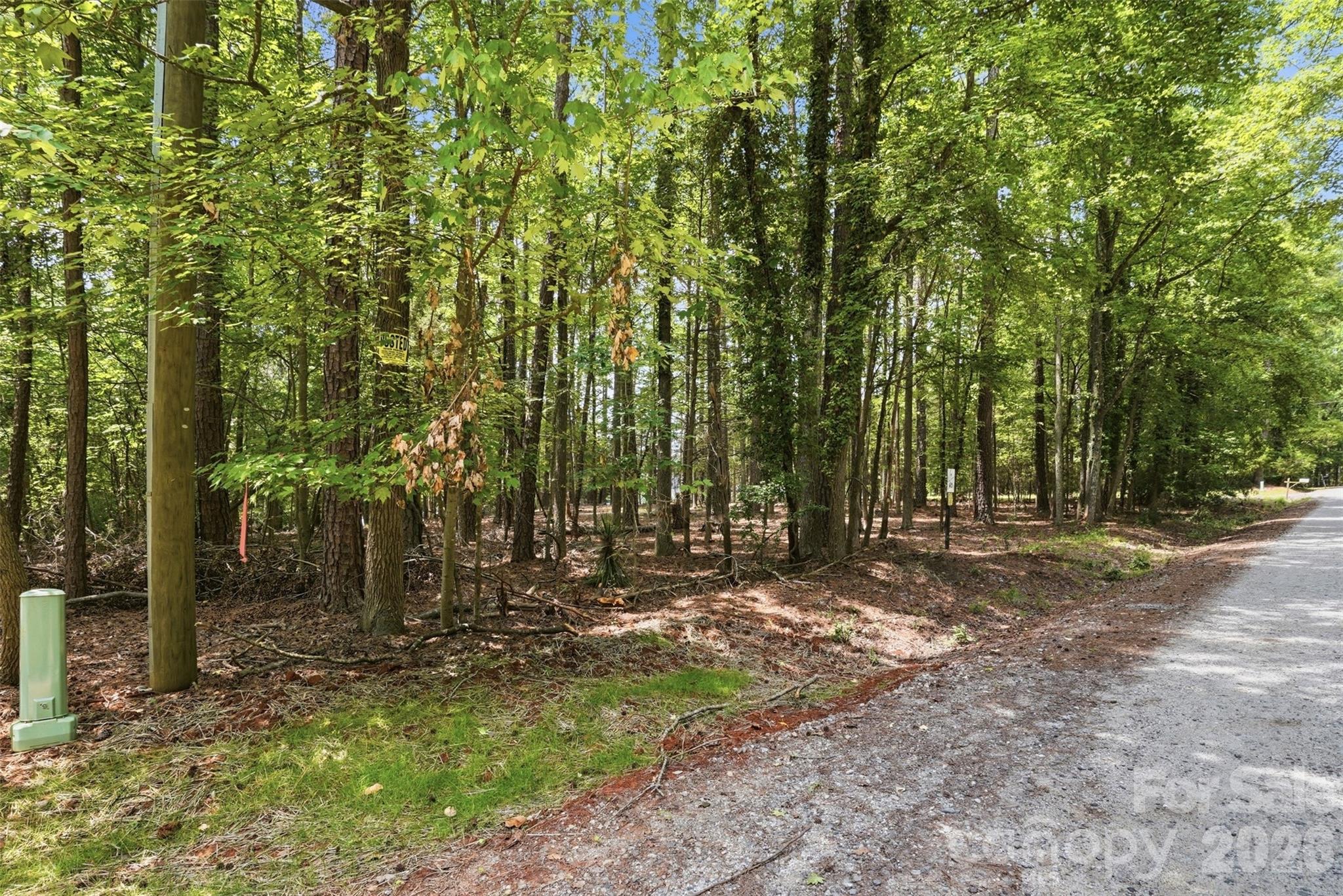 Tbd Marlette Drive Property Photo 20
