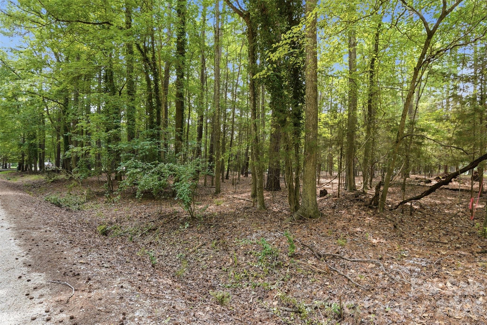 Tbd Marlette Drive Property Photo 21
