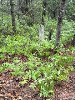 Fr16 Opossum Path Fr 16 Property Photo 10