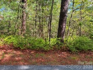 Fr16 Opossum Path Fr 16 Property Photo 11