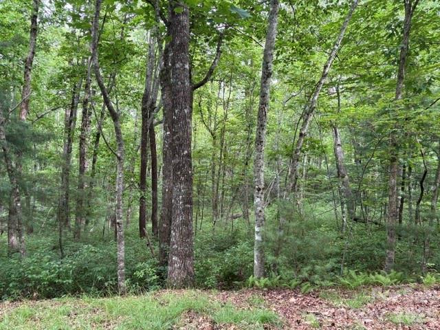 Fr16 Opossum Path Fr 16 Property Photo 12