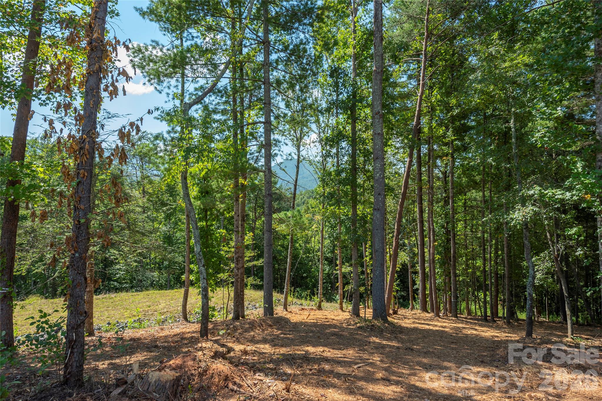 149 Riverbend Forest Drive 6 Property Photo 1