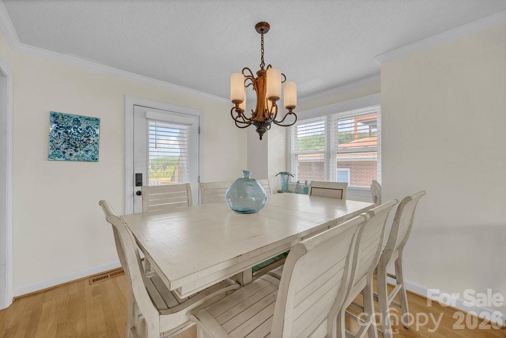 203 Norton Street Property Photo 8