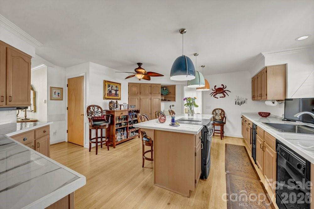 203 Norton Street Property Photo 10
