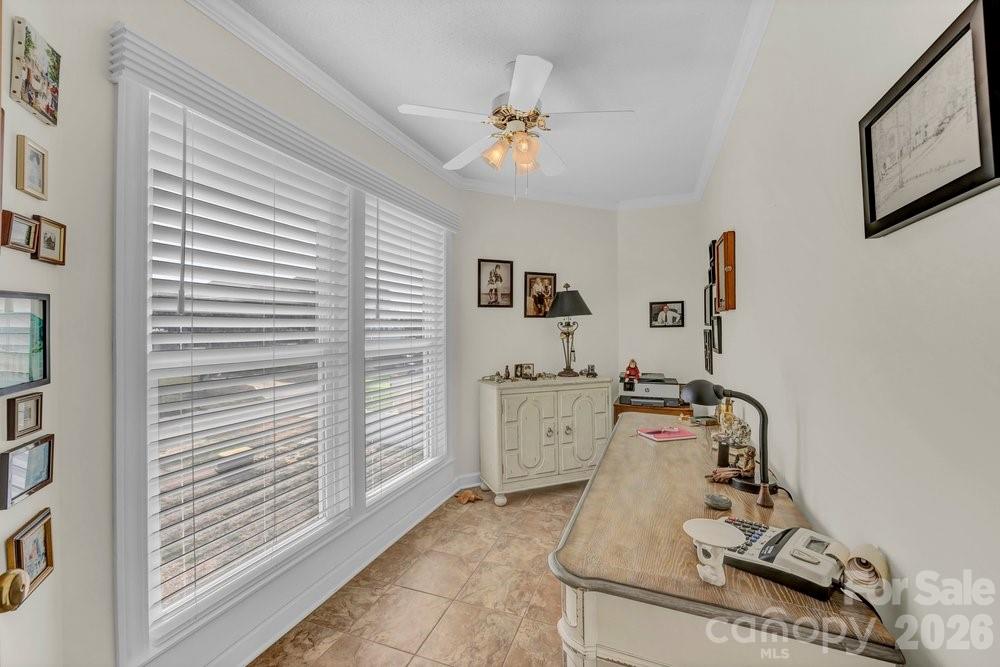 203 Norton Street Property Photo 18