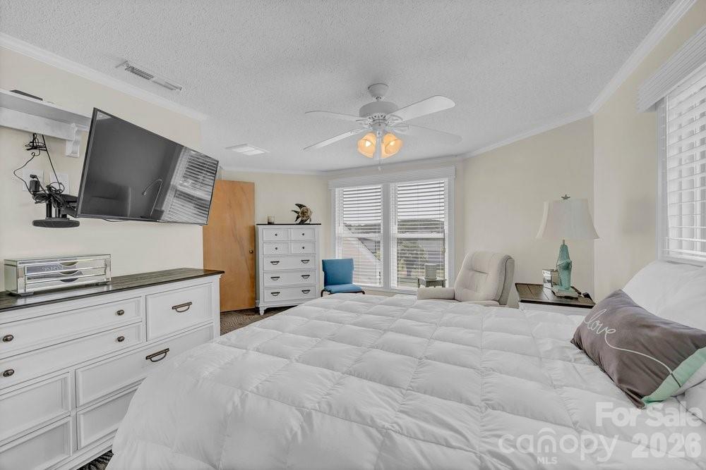 203 Norton Street Property Photo 23