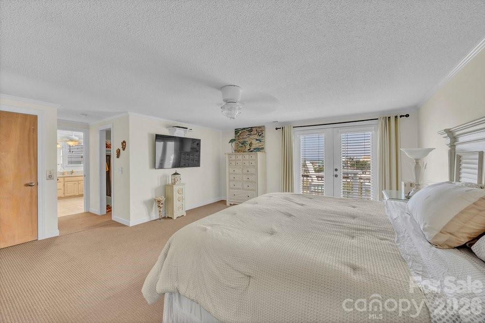 203 Norton Street Property Photo 26