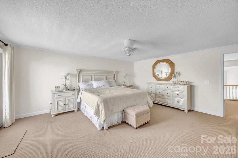203 Norton Street Property Photo 27